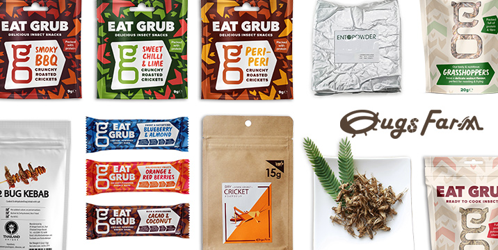 BugsFarm(バグズファーム)